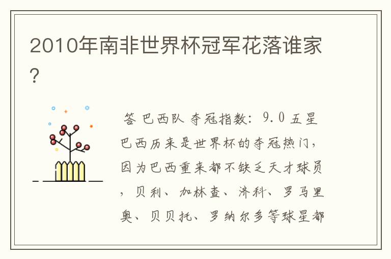 2010年南非世界杯冠军花落谁家?