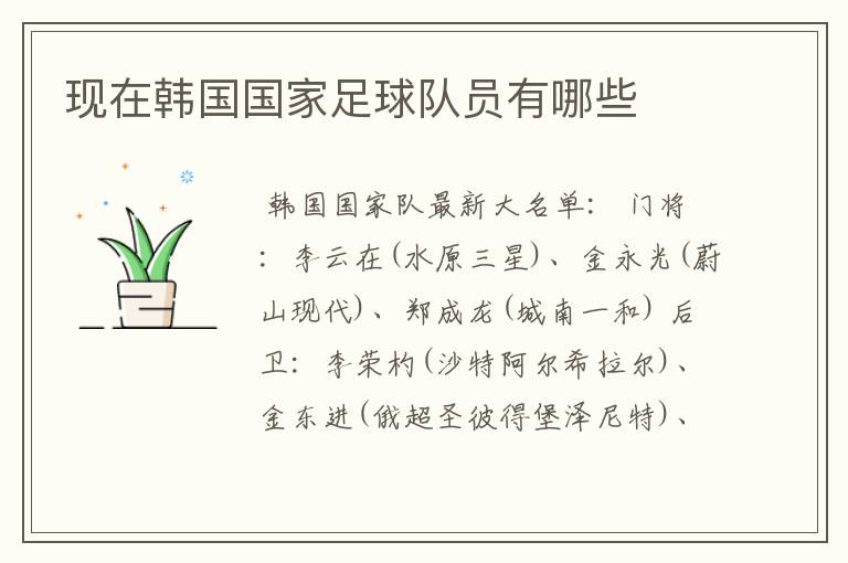 现在韩国国家足球队员有哪些