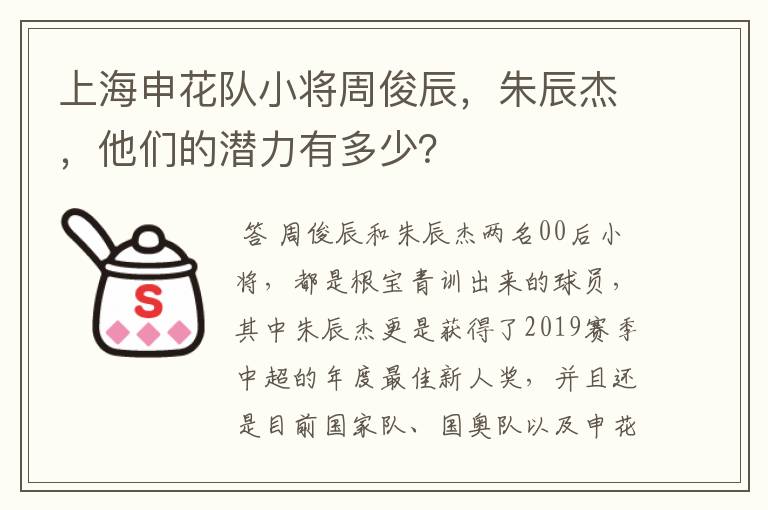 上海申花队小将周俊辰,朱辰杰,他们的潜力有多少?