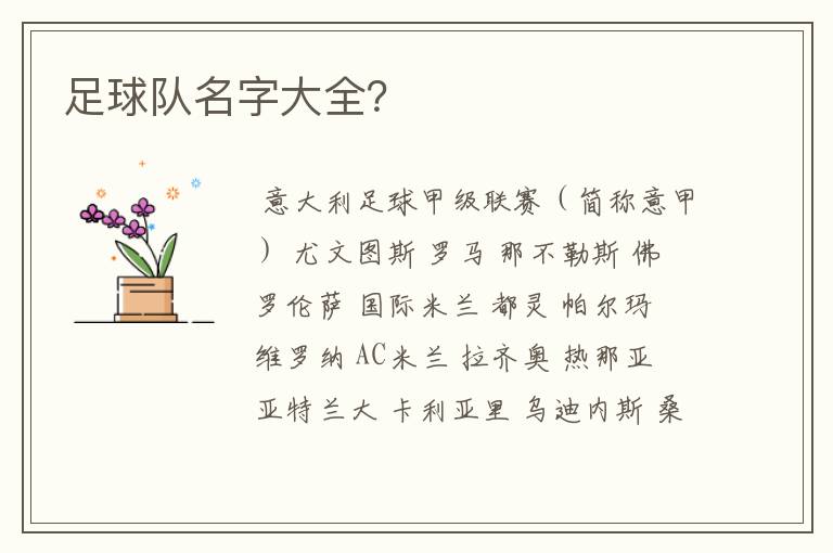 足球队名字大全?