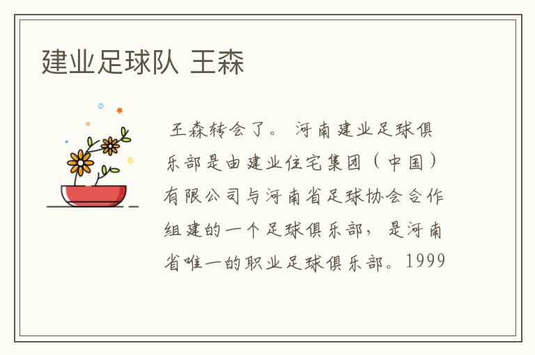 建业足球队 王森