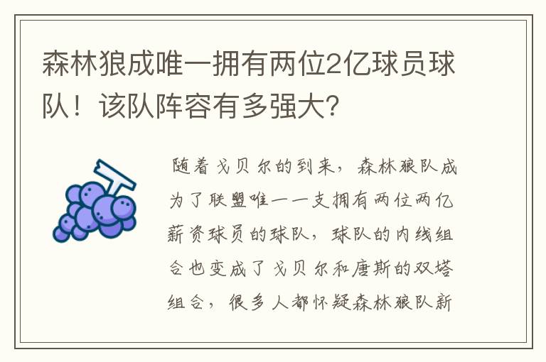 森林狼成唯一拥有两位2亿球员球队!该队阵容有多强大?
