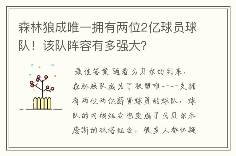 森林狼成唯一拥有两位2亿球员球队!该队阵容有多强大?