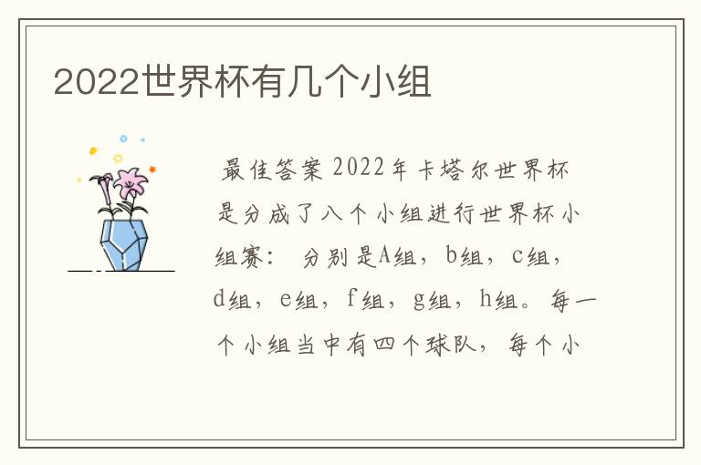 2022世界杯有几个小组