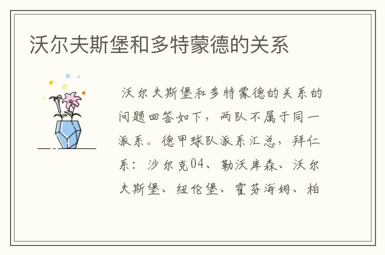 沃尔夫斯堡和多特蒙德的关系