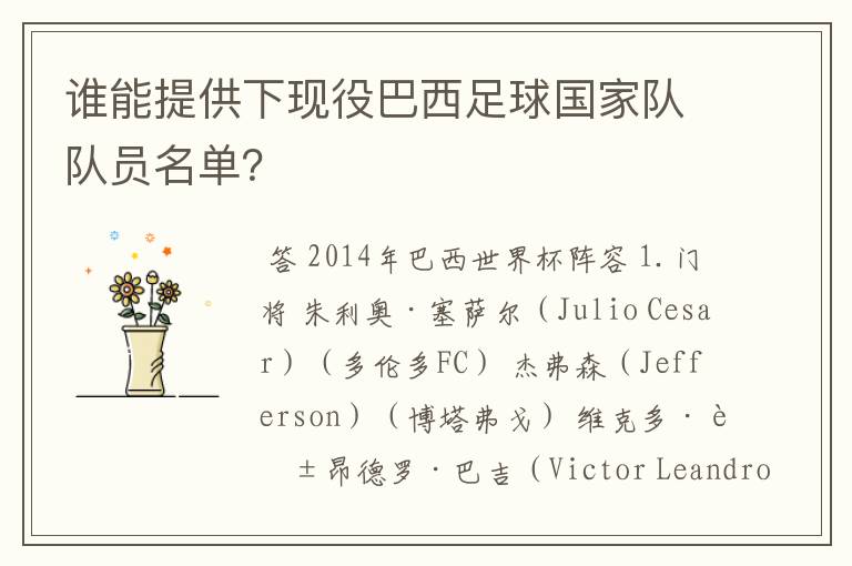 谁能提供下现役巴西足球国家队队员名单?