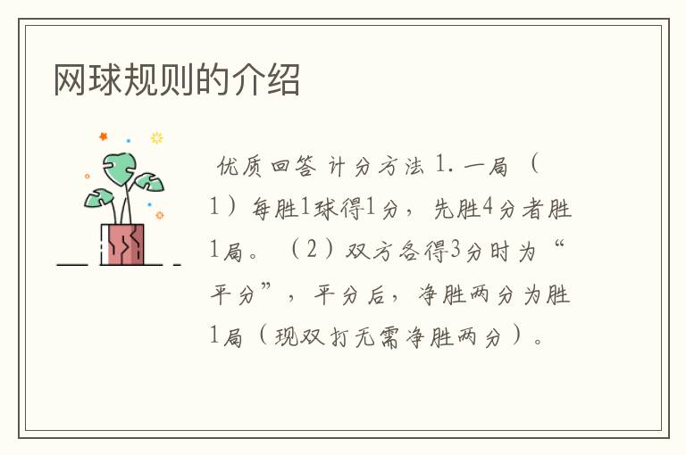 网球规则的介绍