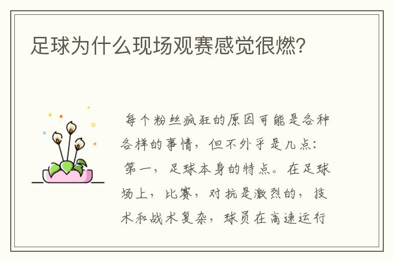 足球为什么现场观赛感觉很燃?