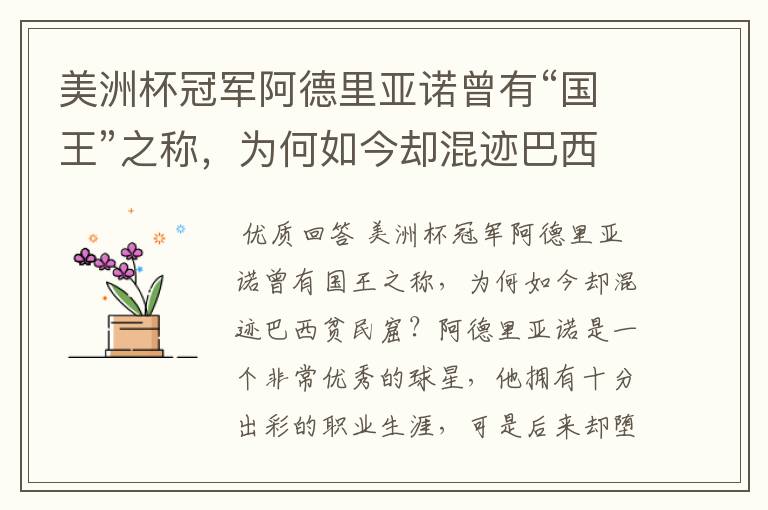 美洲杯冠军阿德里亚诺曾有“国王”之称,为何如今却混迹巴西贫民窟?