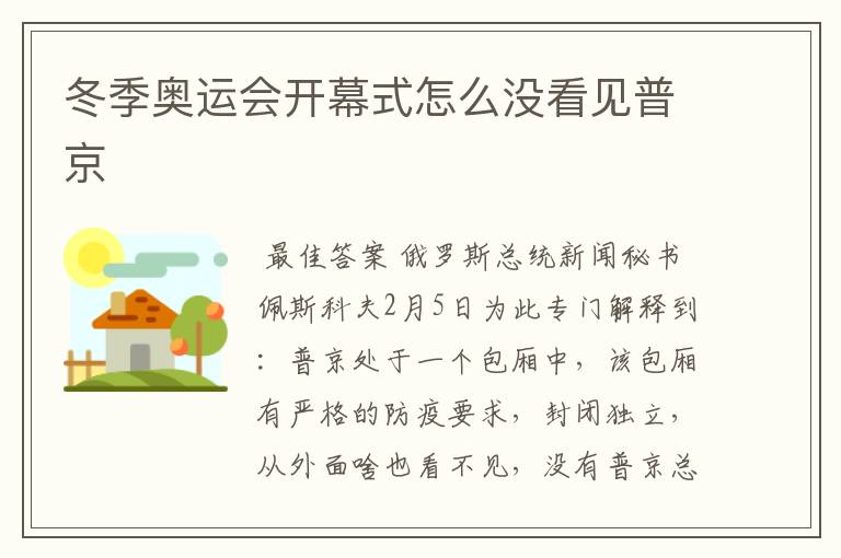 冬季奥运会开幕式怎么没看见普京