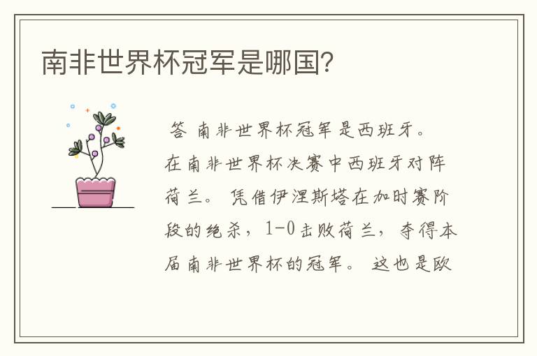 南非世界杯冠军是哪国?