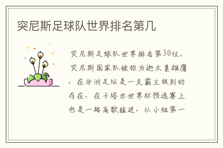 突尼斯足球队世界排名第几