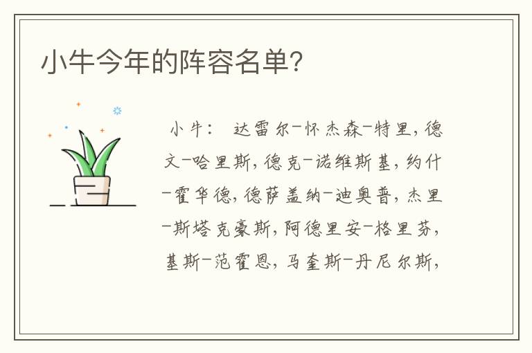 小牛今年的阵容名单?