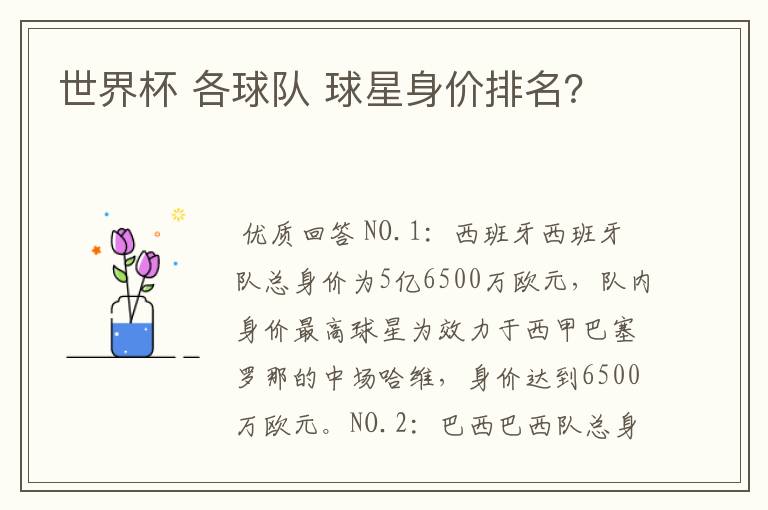 世界杯 各球队 球星身价排名?