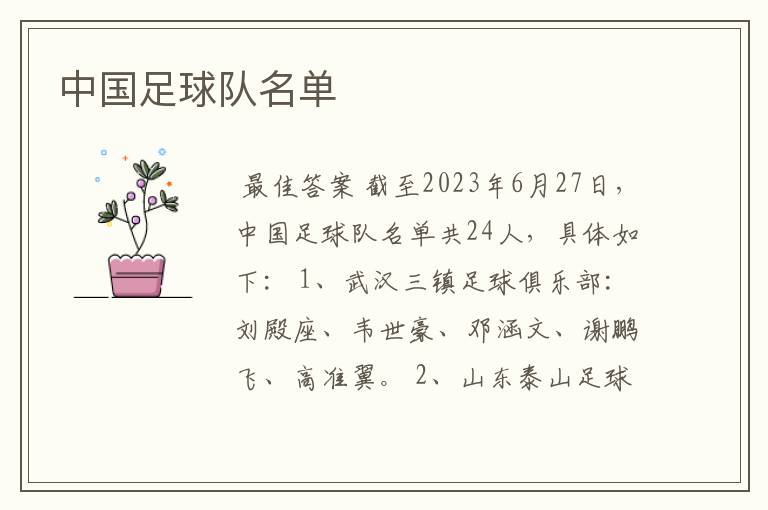 中国足球队名单