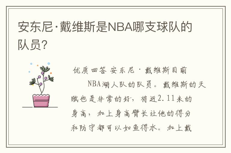 安东尼·戴维斯是NBA哪支球队的队员?