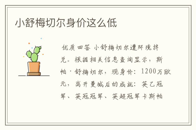 小舒梅切尔身价这么低
