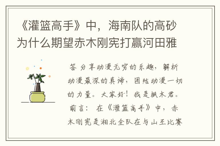 《灌篮高手》中,海南队的高砂为什么期望赤木刚宪打赢河田雅史?