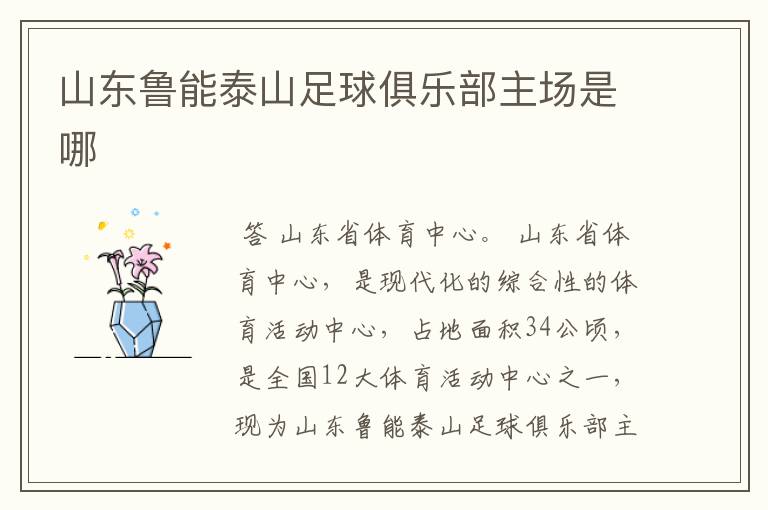 山东鲁能泰山足球俱乐部主场是哪