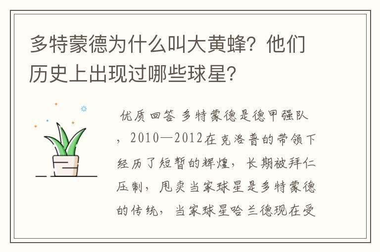 多特蒙德为什么叫大黄蜂?他们历史上出现过哪些球星?