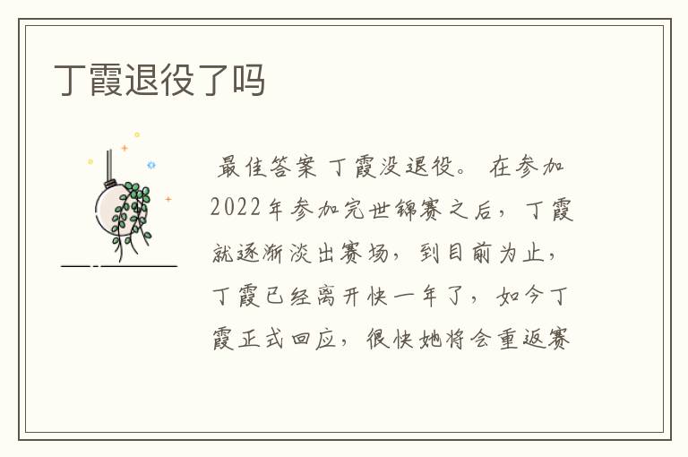 丁霞退役了吗