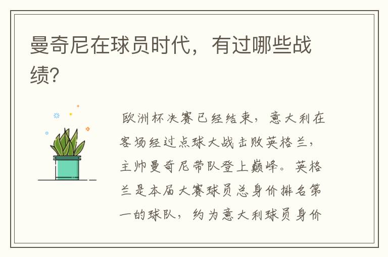 曼奇尼在球员时代,有过哪些战绩?