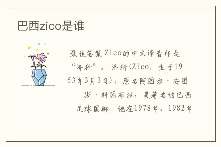 巴西zico是谁