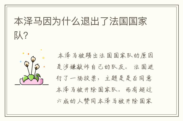 本泽马因为什么退出了法国国家队？