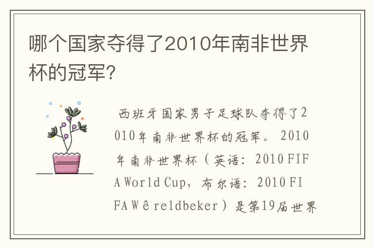 哪个国家夺得了2010年南非世界杯的冠军?