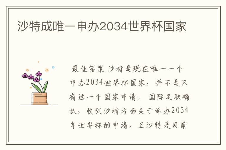 沙特成唯一申办2034世界杯国家