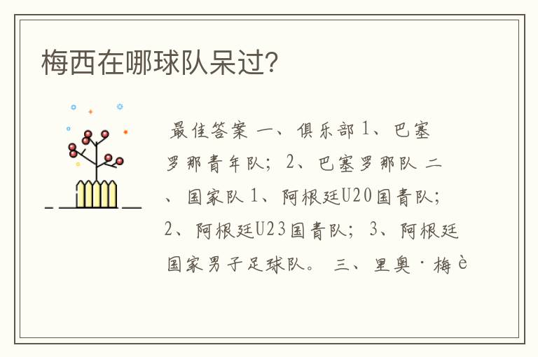 梅西在哪球队呆过?