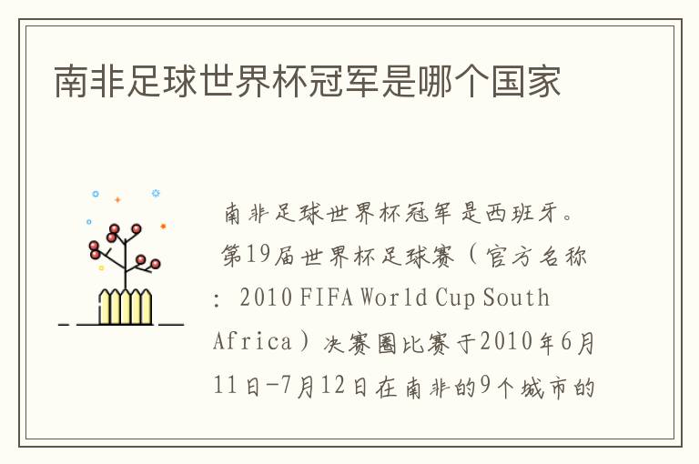南非足球世界杯冠军是哪个国家