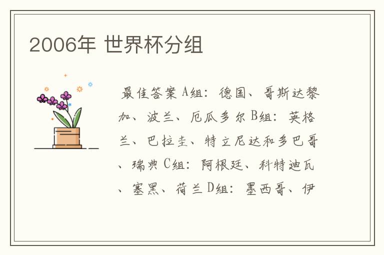 2006年 世界杯分组
