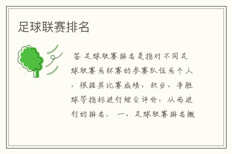 足球联赛排名