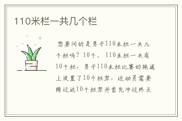 110米栏一共几个栏