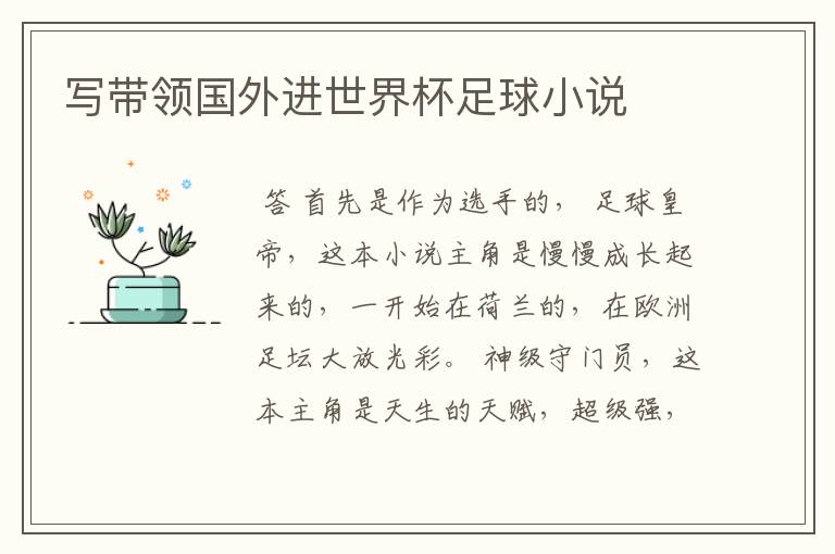 写带领国外进世界杯足球小说