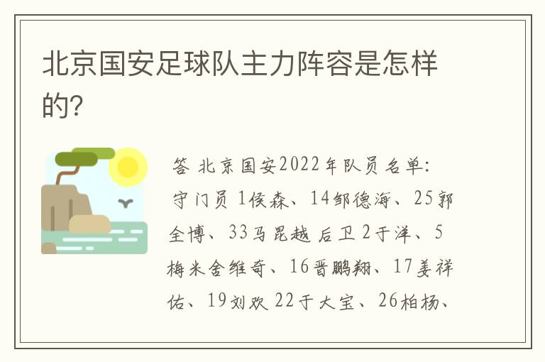 北京国安足球队主力阵容是怎样的?