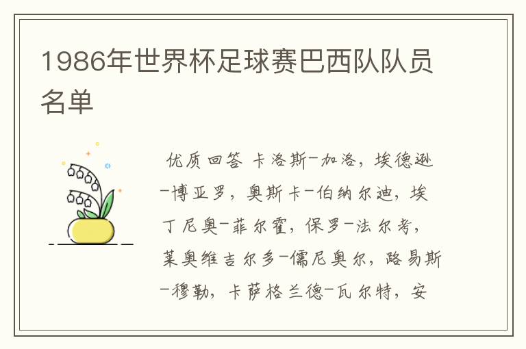 1986年世界杯足球赛巴西队队员名单