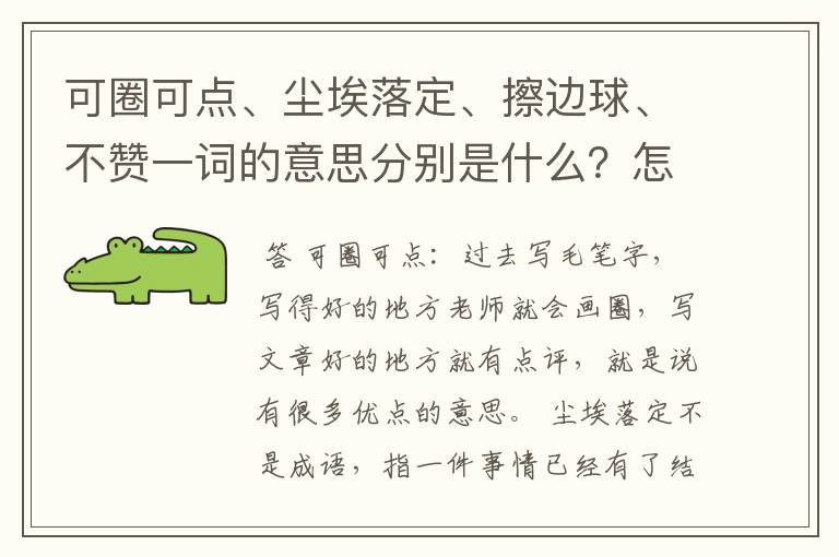 可圈可点、尘埃落定、擦边球、不赞一词的意思分别是什么?怎么用?