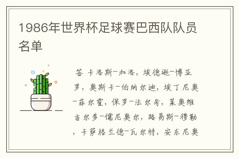 1986年世界杯足球赛巴西队队员名单