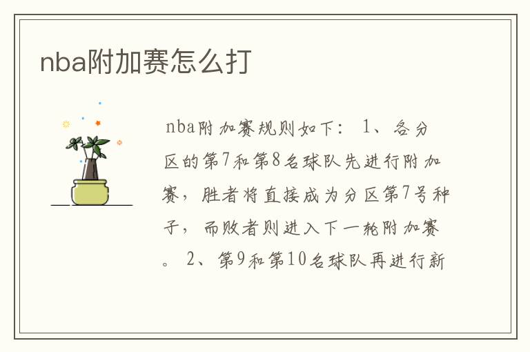 nba附加赛怎么打