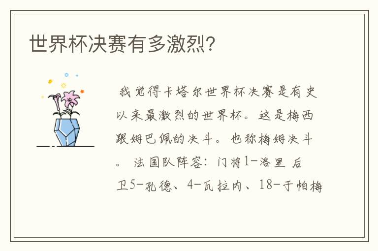 世界杯决赛有多激烈?