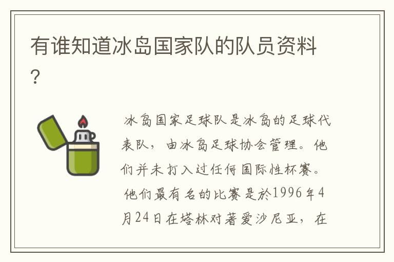有谁知道冰岛国家队的队员资料?