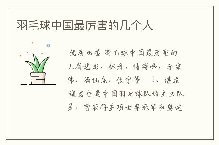 羽毛球中国最厉害的几个人