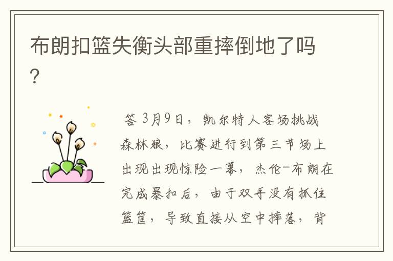 布朗扣篮失衡头部重摔倒地了吗?