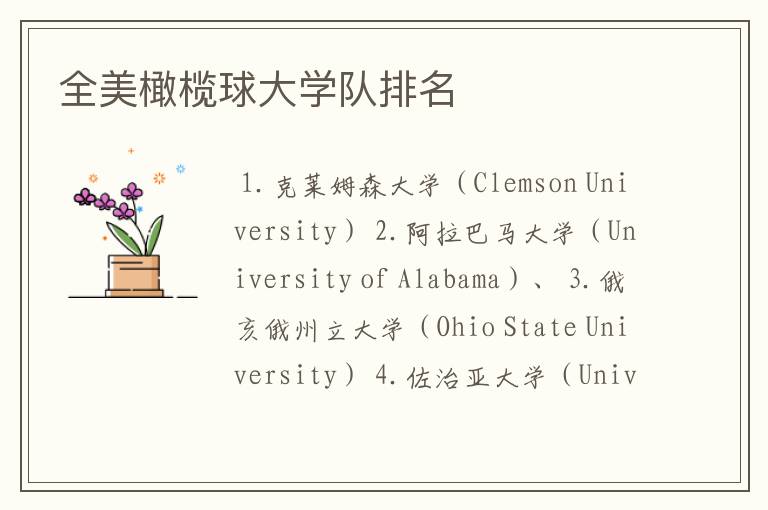 全美橄榄球大学队排名