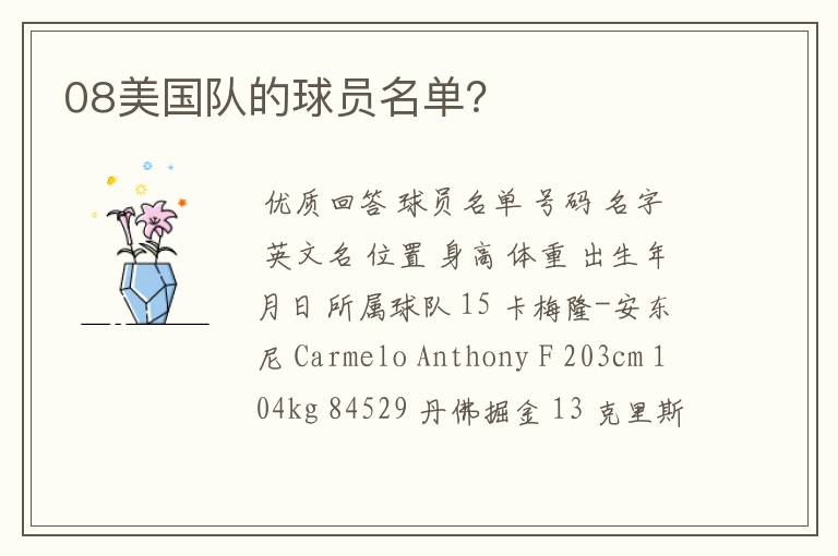 08美国队的球员名单?
