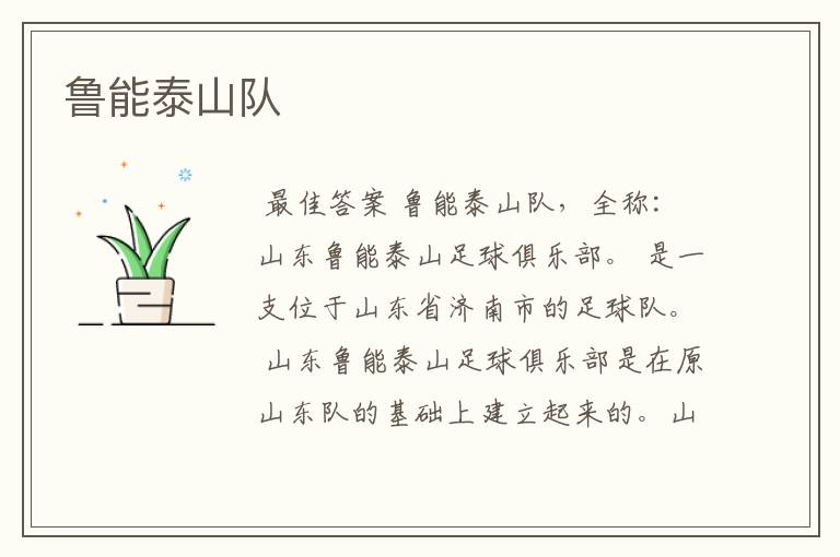 鲁能泰山队