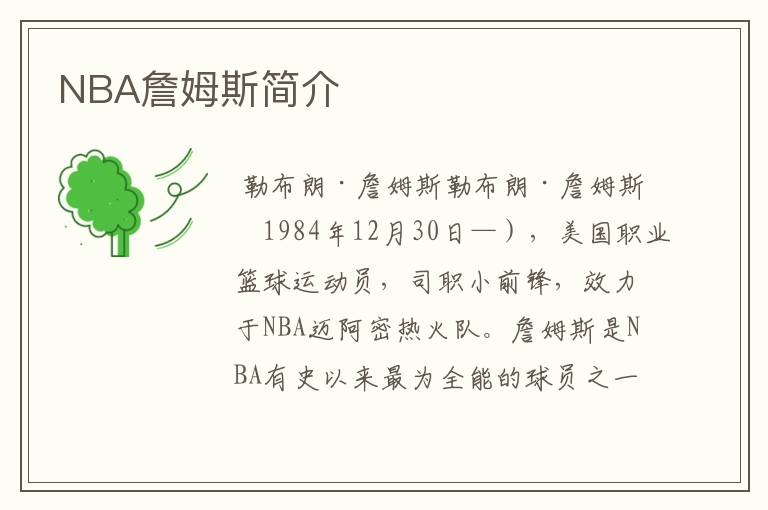 NBA詹姆斯简介