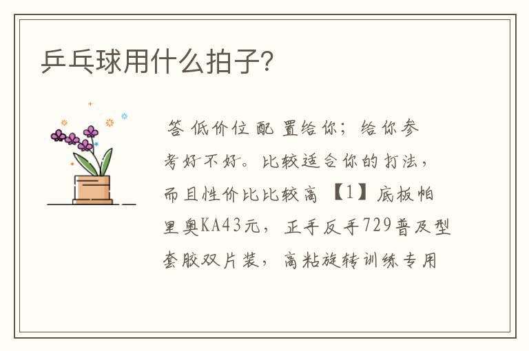 乒乓球用什么拍子?